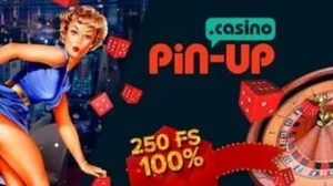 
 The appearance and function of the Pin up Casino's official site
